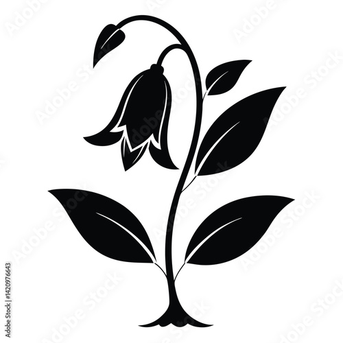 Black and White Bluebell Flower Illustration