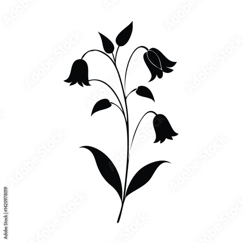 Black and White Bluebell Flower Illustration