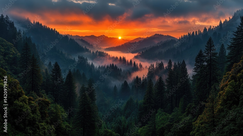 Fototapeta premium Majestic sunset over a valley shrouded in mist, with towering forested mountains