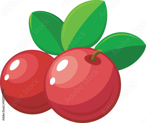 A vibrant and detailed vector art illustration showcasing the delicious and fresh cranberry fruit with rich colors and textures.