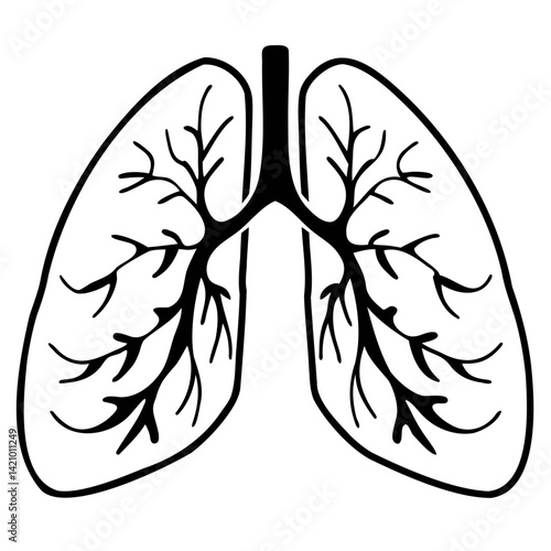 Medical Lungs Silhouette Side View on Transparent Background PNG Image
