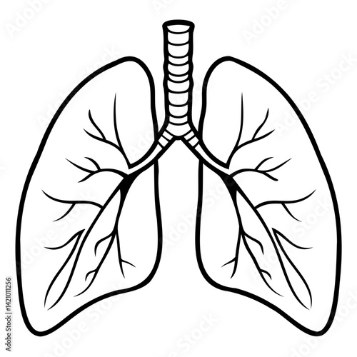 Realistic Lungs Side View Silhouette Isolated Black Vector on Transparent Background