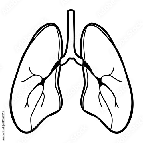 Medical Lungs Silhouette Side View on Transparent Background PNG Image
