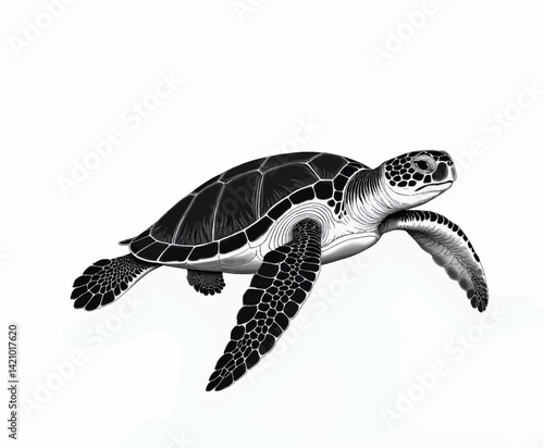 Monochrome Sea Turtle Illustration on White