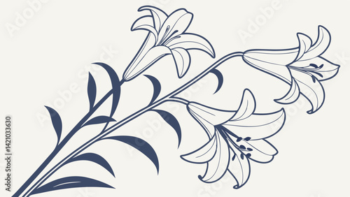 Elegant White Lily Flowers Botanical Line Art Vector Drawing