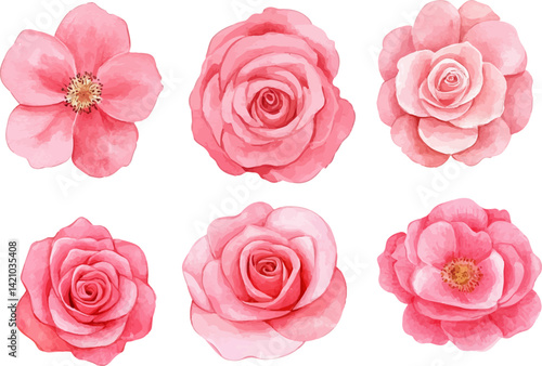 Floral Watercolor Pink Rose Art - Beautiful Hand-Painted Flower Design