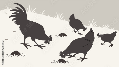 Black and White Farm Chickens Pecking Ground Silhouette - Rooster and Hens Foraging