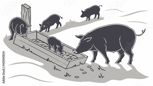 Vintage Black and White Illustration of Farm Pigs Feeding at Trough