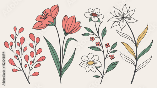 Hand-Drawn Botanical Floral Flower Vector Illustrations - Leaves Plants Art