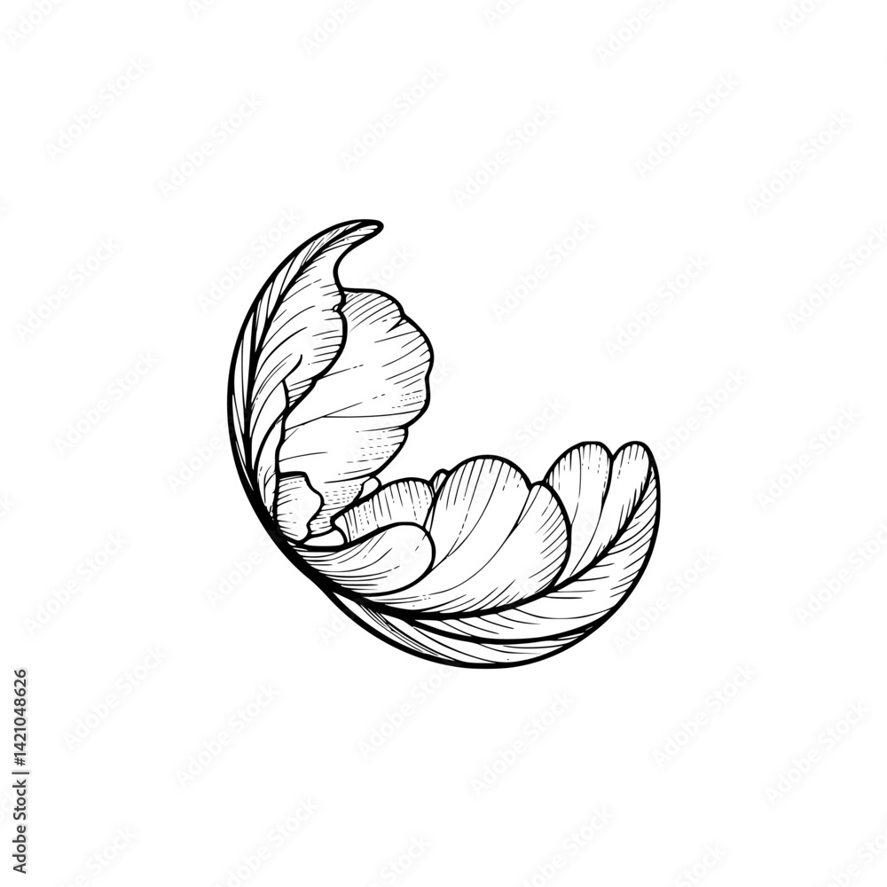 Obraz premium Botanical Line Art: Elegant Peony Flower on White Background