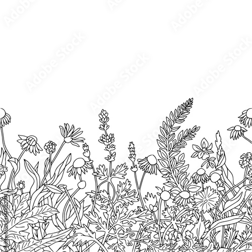 Line Art Floral Border, Hand-Drawn Meadow Flowers, Coloring Page Design