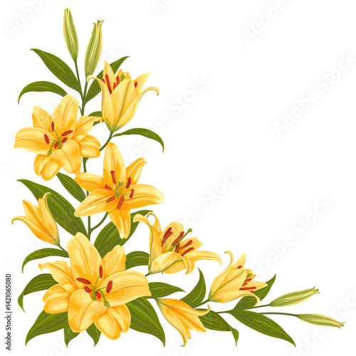 Corner vignette with yellow tiger lily flowers, floral corner border with pattern of lilies. Daylily, flowers, leaves and buds isolated on a white background. Vector illustration