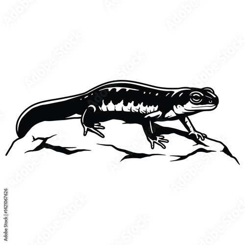  Lizard on white background isolated with detailed macro view of its tail and eye