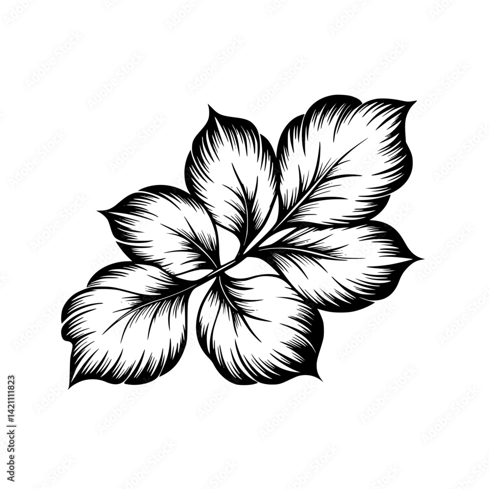 Obraz premium Elegant Leaf Branch Illustration, Black and White, Floral Design