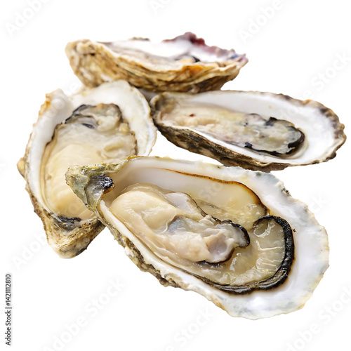 A oysters isolated on a transparent background