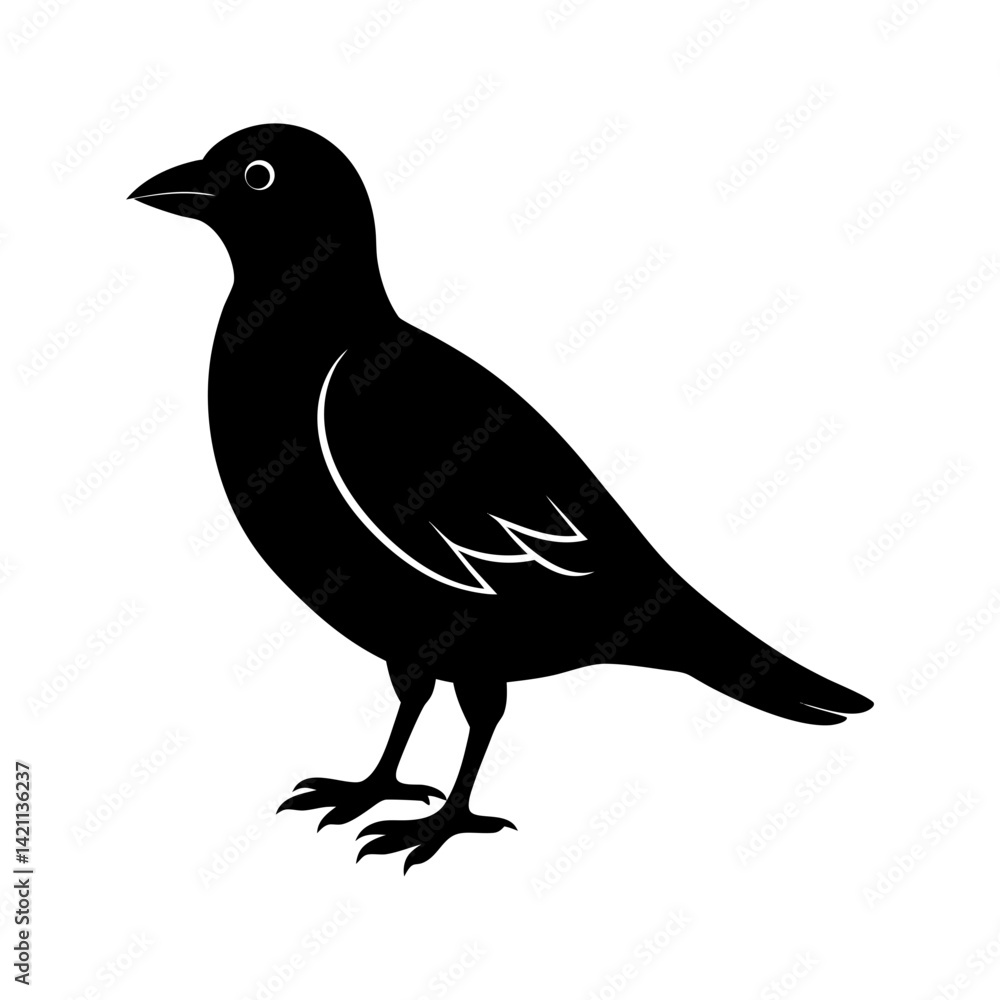 Fototapeta premium bird-vector-silhouette illustration