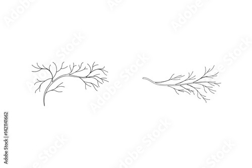 Simple Black Line Art Of Tree Branches Isolated On White Background Design Element