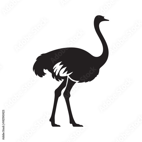 black ostrich vector  isolated on white