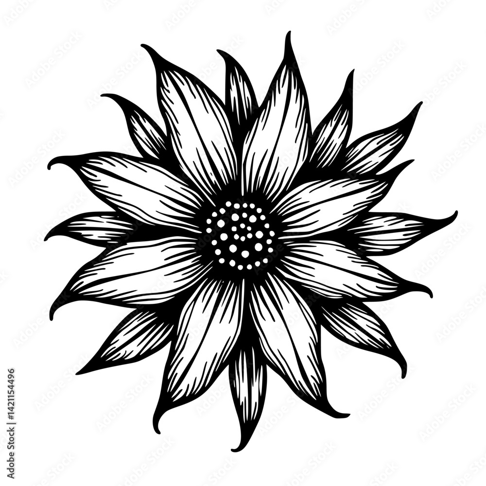 Fototapeta premium Black & White Sunflower Vector Illustration: Floral Design, Linework Art