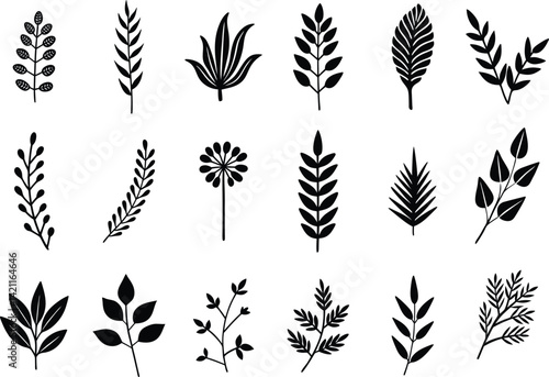 Hand-drawn leaves botanical floral vector element set part 5 illustrations on transparent background