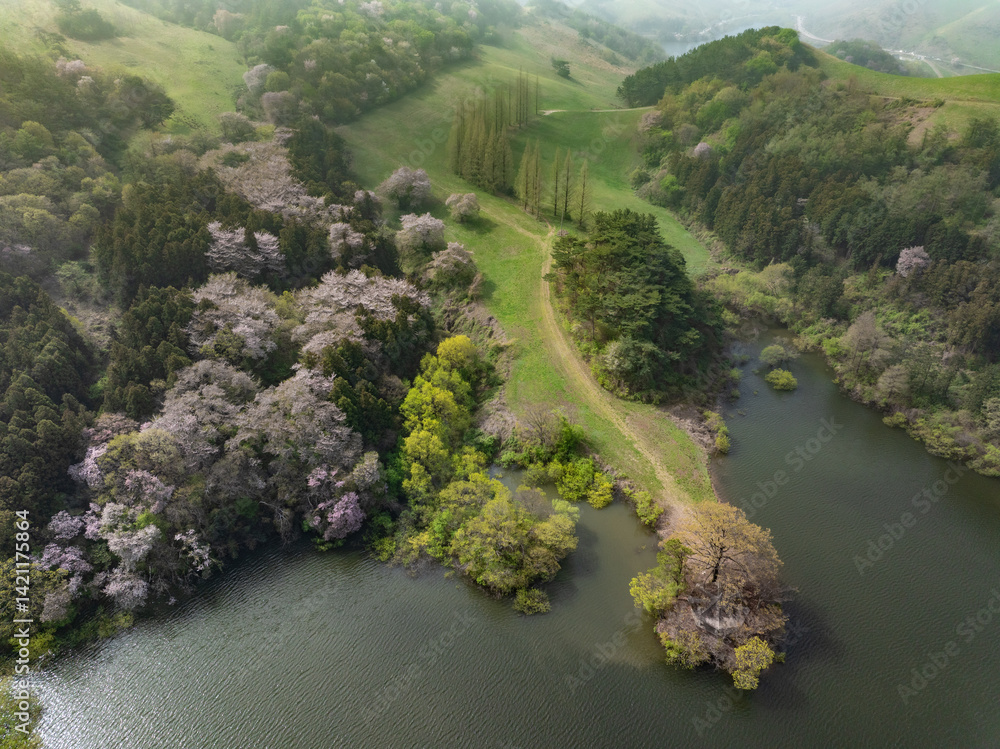 This is a picture of a beautiful countryside with trees and grass and a lake.
