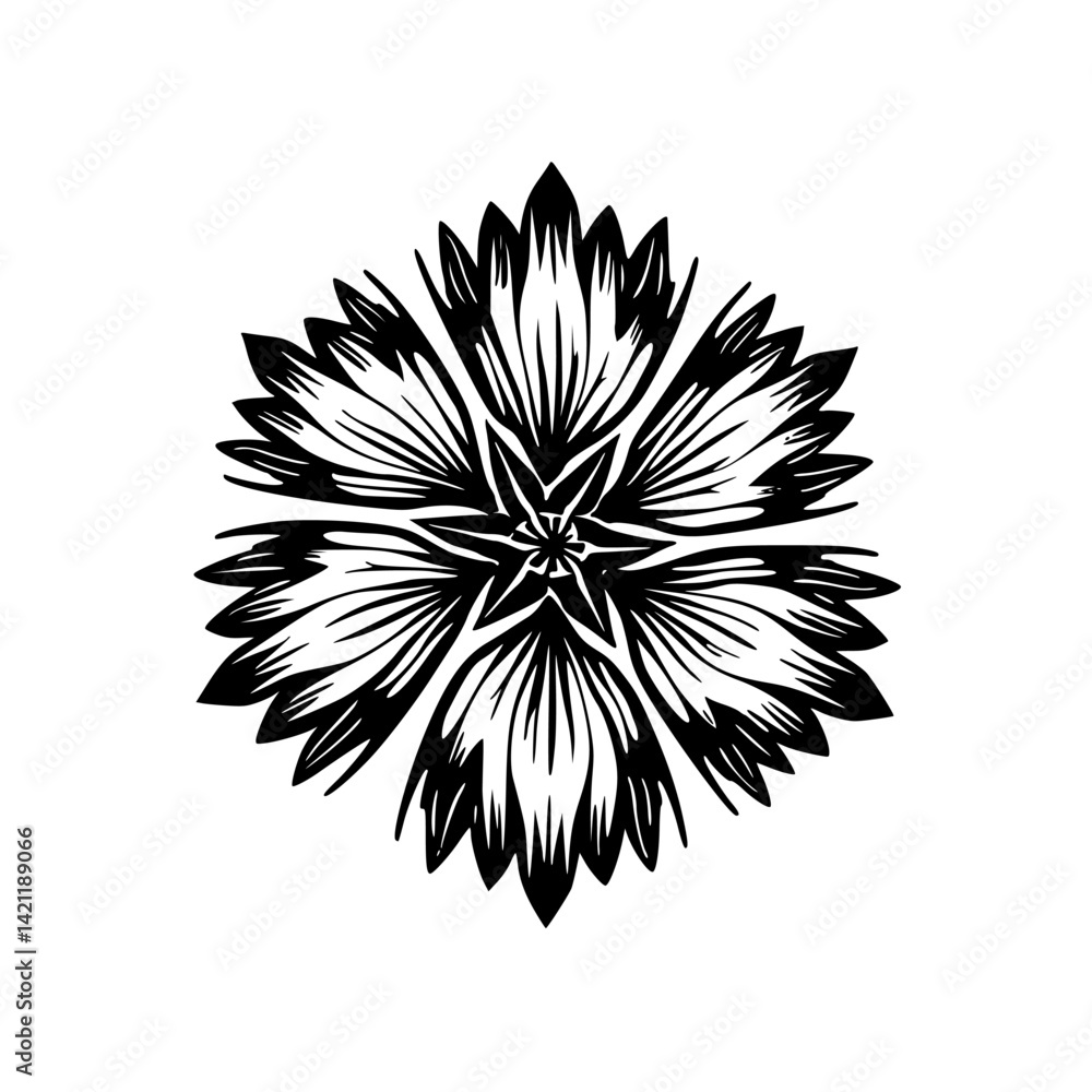 Fototapeta premium Black and White Flower Vector Illustration
