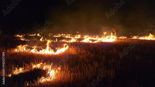 Burning crop residues in rural farmland at night – air pollution concept – 4K