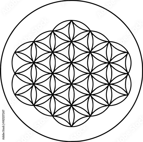 Flower of life Sacred geometry icon in circle round black color vector illustration image outline contour line thin style
