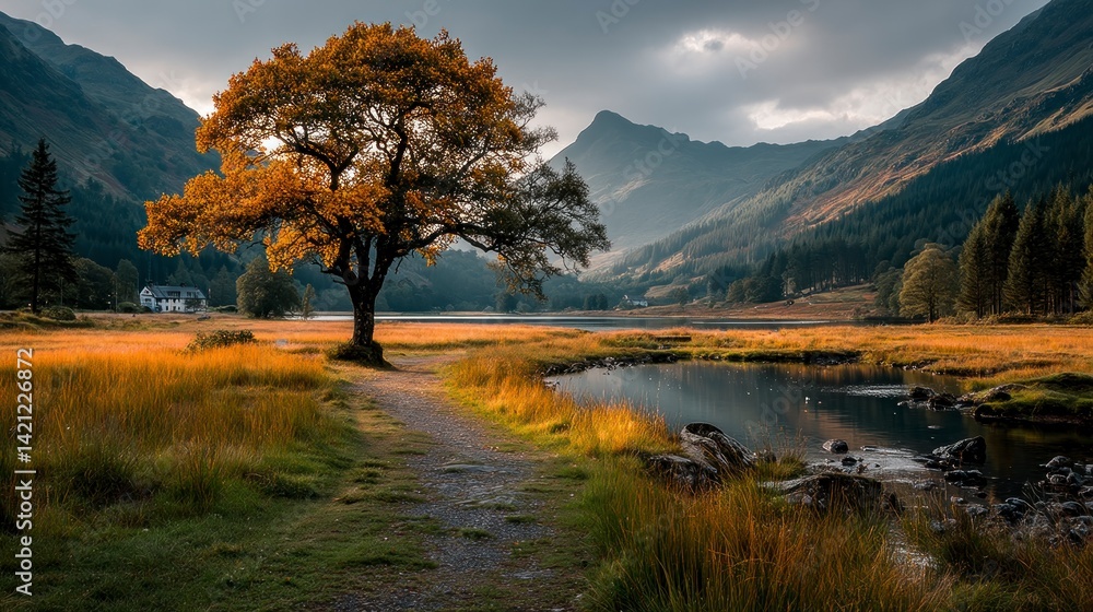 Obraz premium Walking Path Leads to a Golden Tree by Calm Lake in a Mountain Valley