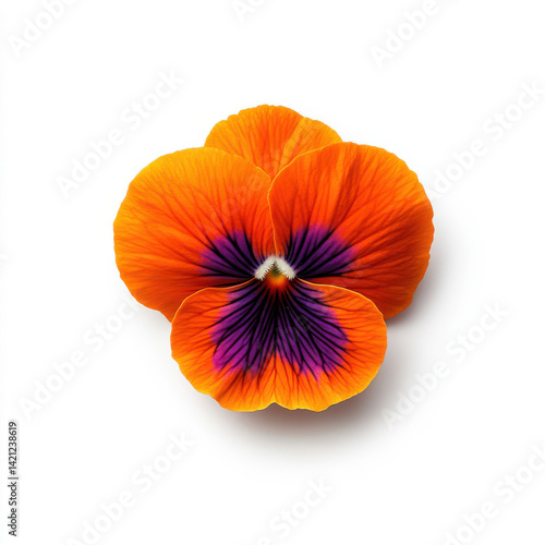 Wallpaper Mural Bright orange Pansy flower with a distinct dark purple marking at its center, set against an isolated white background, highlighting its vibrant hue and graceful elegance. Torontodigital.ca