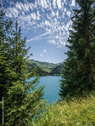 Framed view of Saint-Guérin lake through alpine pines, French Alps