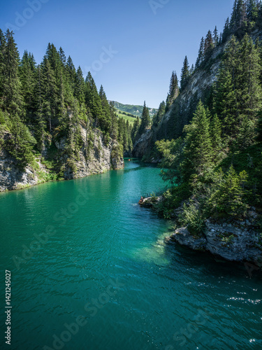 Turquoise lake nestled in the forest near Saint-Guérin, French Alps