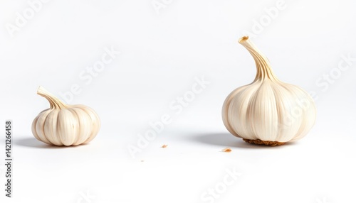 Two garlic bulbs, one large and one small,  against white background