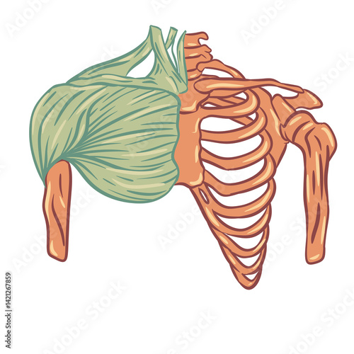medical