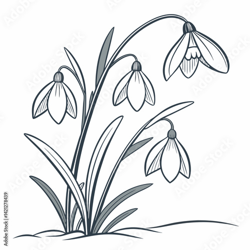 black and white flowers