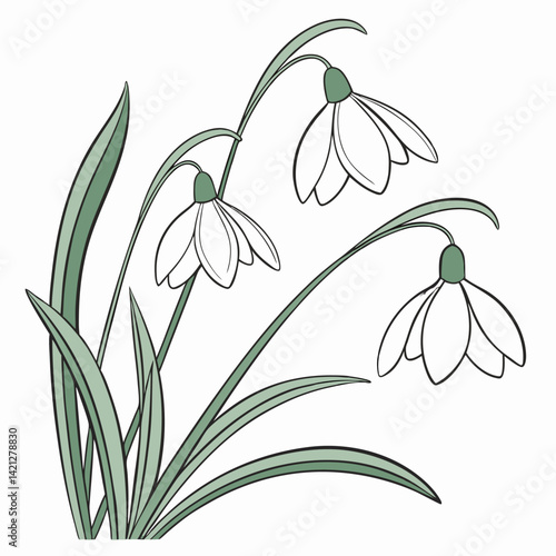 black and white flowers in a white background