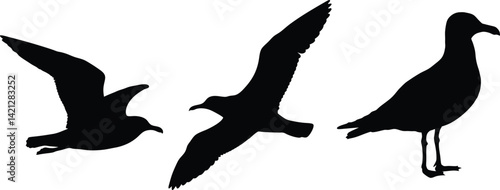 Three Seagull Silhouettes Flying and Standing Bird Wildlife Nature Graphic Design Element