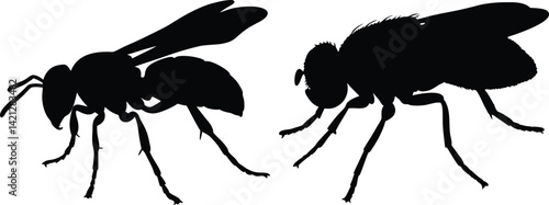 Wasp and Fly Silhouettes Vector Graphics for Design Projects