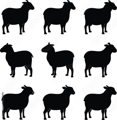 sheep silhouette vector design image