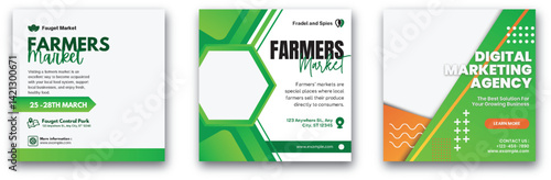 Eye-Catching Marketing Templates for Farmers Markets and Digital Agencies