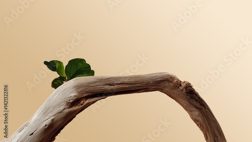 driftwood product display podium on the beige gradient background.ideal mockup for product display presentation showcase backdrop design