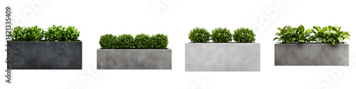 Rows of modern concrete planters with green plants