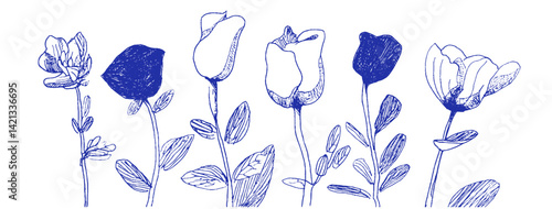 Whimsical drawings of Mediterranean flowers in a linear style showcasing odd elements and vibrant colors