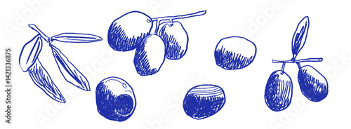 Whimsical linear doodles of Mediterranean olives with a coquette charm captured in playful crayon-style artistry