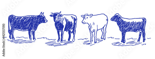 Whimsical doodles of Mediterranean cattle captured in crayon on a sunny afternoon