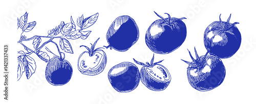 Whimsical blue crayon doodles of Mediterranean tomatoes with linear elements and odd coquette style