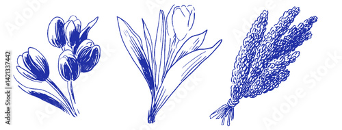 Whimsical doodles of flowers in a Mediterranean-inspired linear design, featuring odd crayon elements