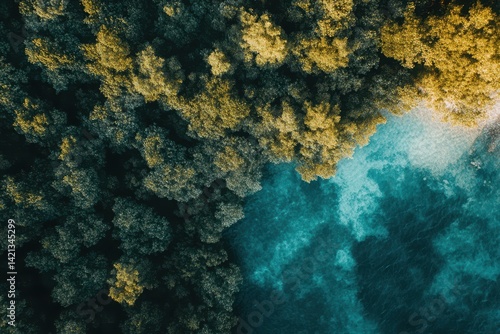 Aerial view of lush forest meeting a turquoise, crystal-clear water body.  A vibrant mix of greens and yellows on the forested area contrast with the deep teal of the water