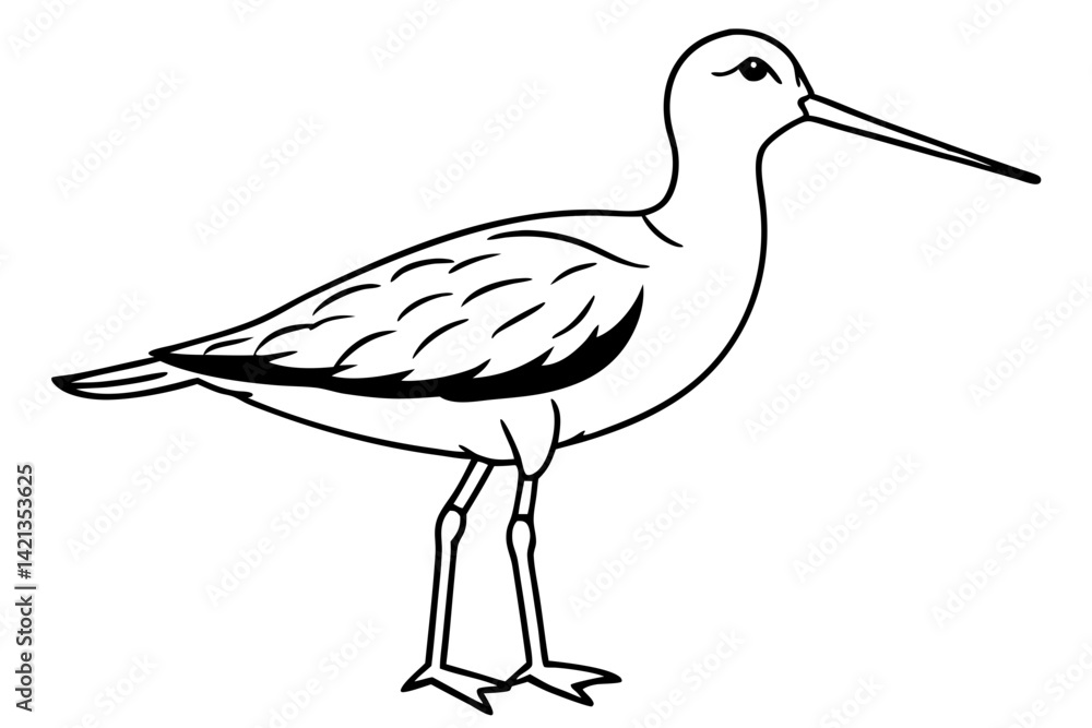 Obraz premium sandpiper silhouette line art vector illustration with a white background
