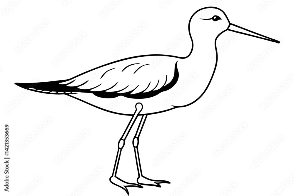 Fototapeta premium sandpiper silhouette line art vector illustration with a white background